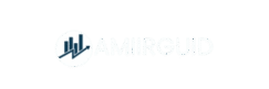 amiirguide.com